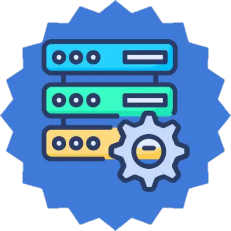 Multiple Server Option